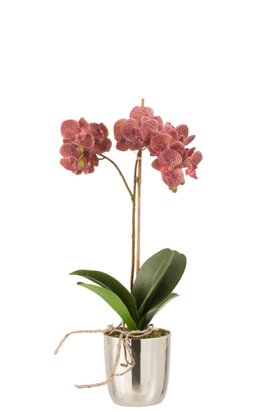 Orchid In Pot Plastic/Cement Dark Pink/Silver
