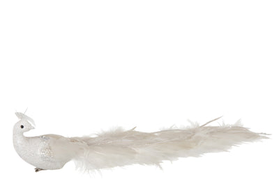 Peacock Toe Tail Feathers Ecru - (97410)